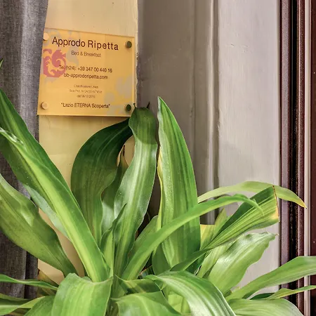 Bed & Breakfast Approdo Ripetta Roma