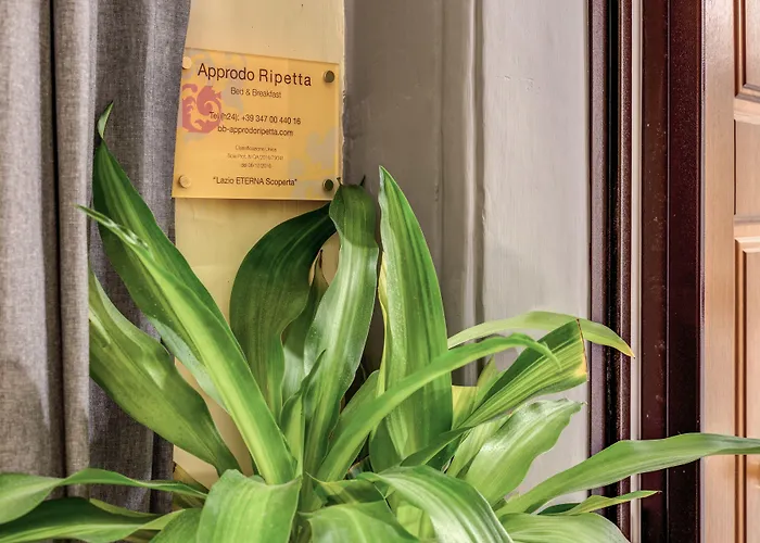Bed & Breakfast Approdo Ripetta Rome